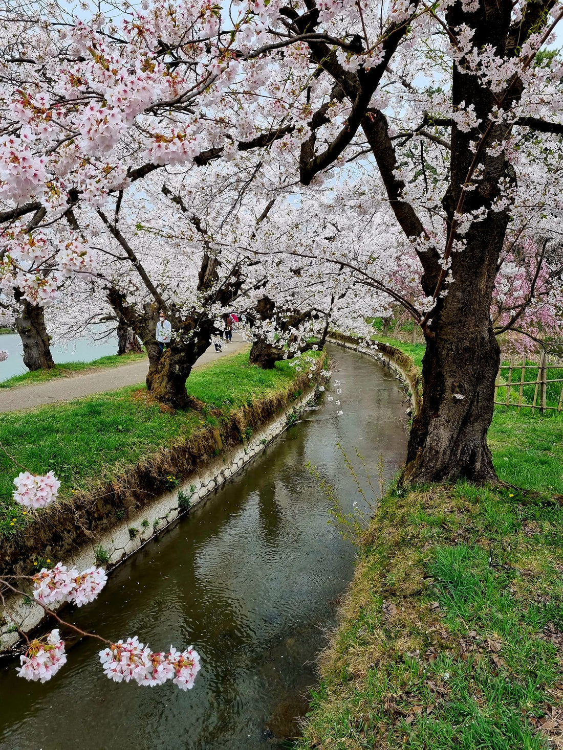 Un viaje por Japón…. Primera parte